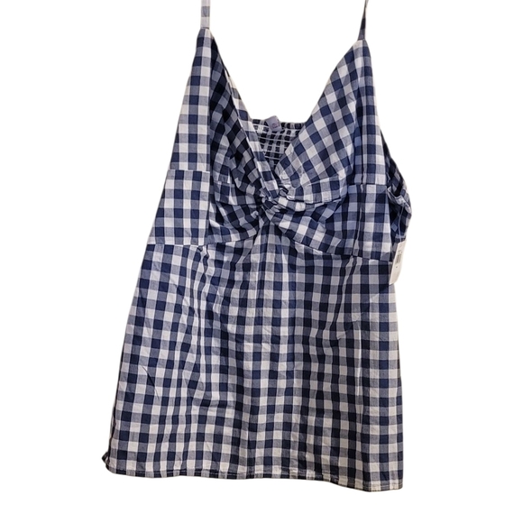 Blue and White Gingham Sleeveless Top - Picture 3 of 4